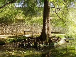 Orto Botanico di Lucca